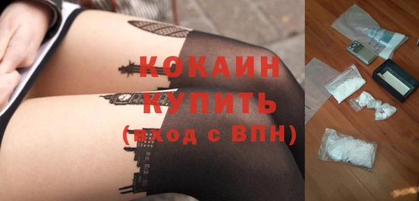 ешки Ельня