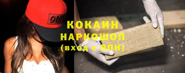 ешки Ельня