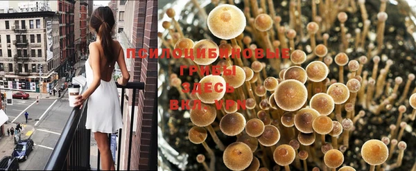 ешки Ельня