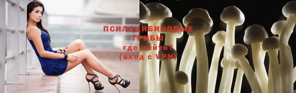 прущие крисы Елабуга