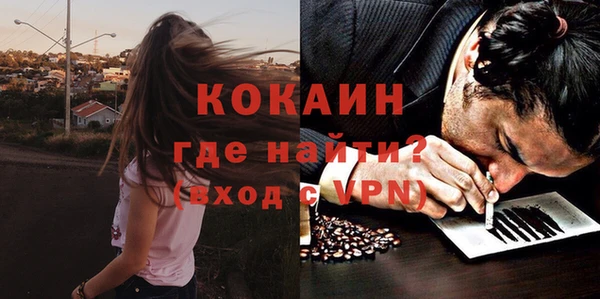 ешки Ельня