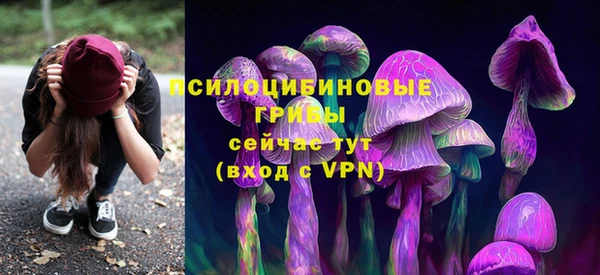 мдма Елизово