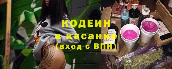 ешки Ельня