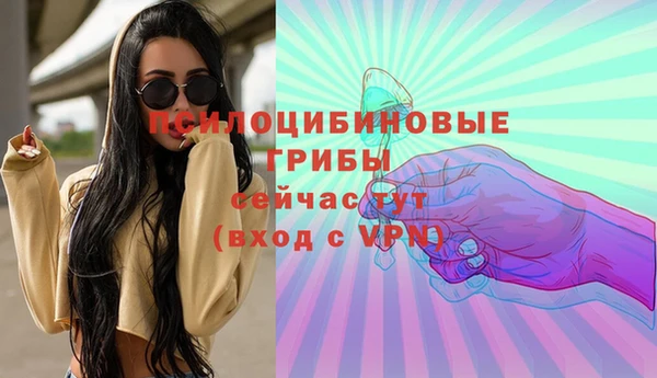 ешки Ельня