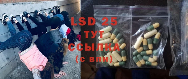 прущие крисы Елабуга