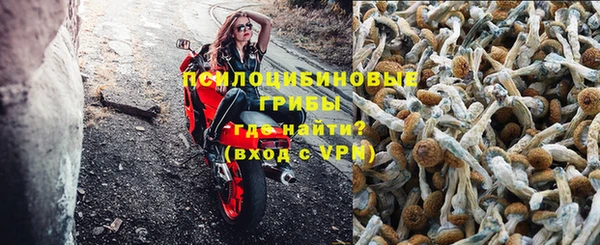 ешки Ельня