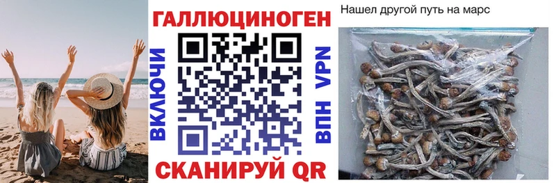 Галлюциногенные грибы мицелий Мценск