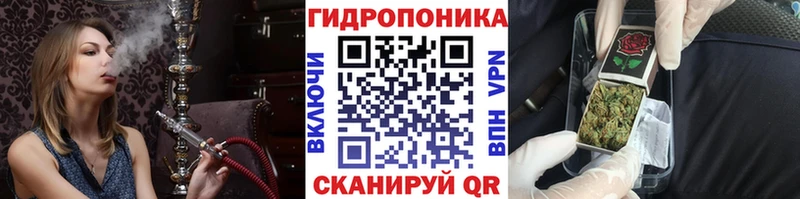 Марихуана AK-47  как найти закладки  Мценск 